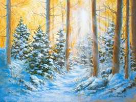 snow scene in forest